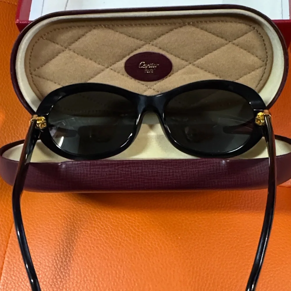 Authentic Cartier Kids Sunglasses - Black Frame with Gold Details - Picture 8 of 10